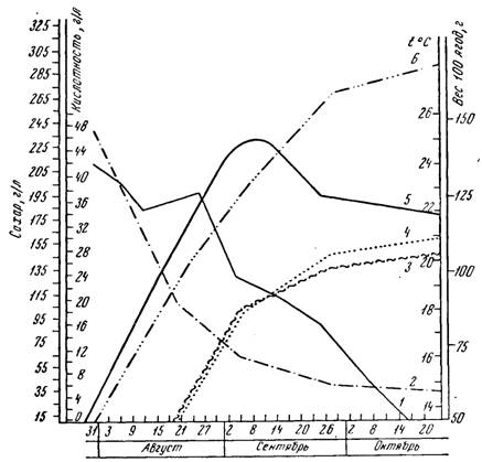 Корреляция между динамикой накопления сахаров в винограде и среднесуточной температурой