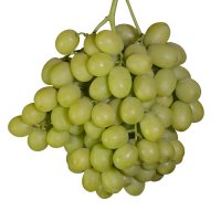 Тимпсон виноград