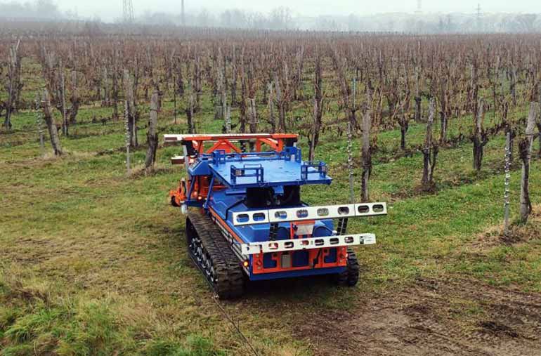 автономный автомобиль на винограднике