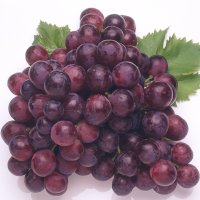 виноград Флейм сидлис