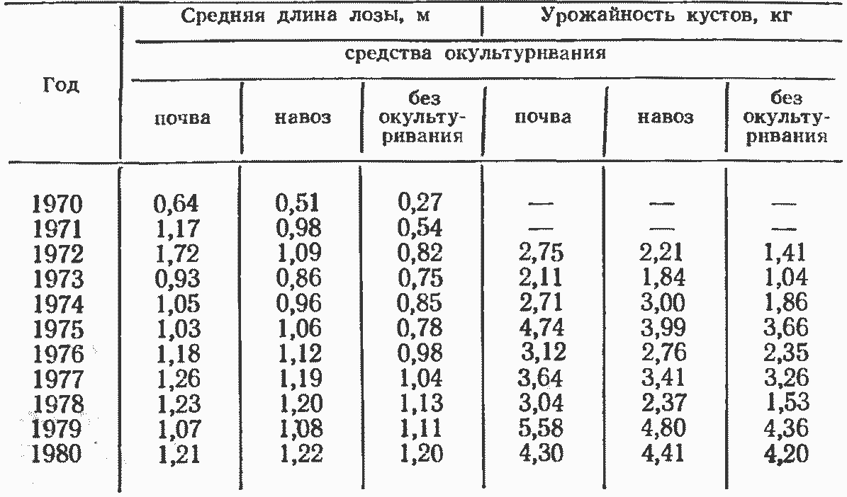 Плотность картофеля