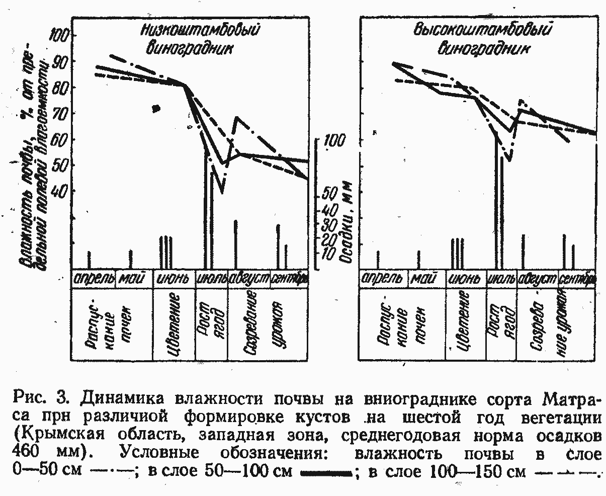 Влажность почвы и воздуха - Страница 4