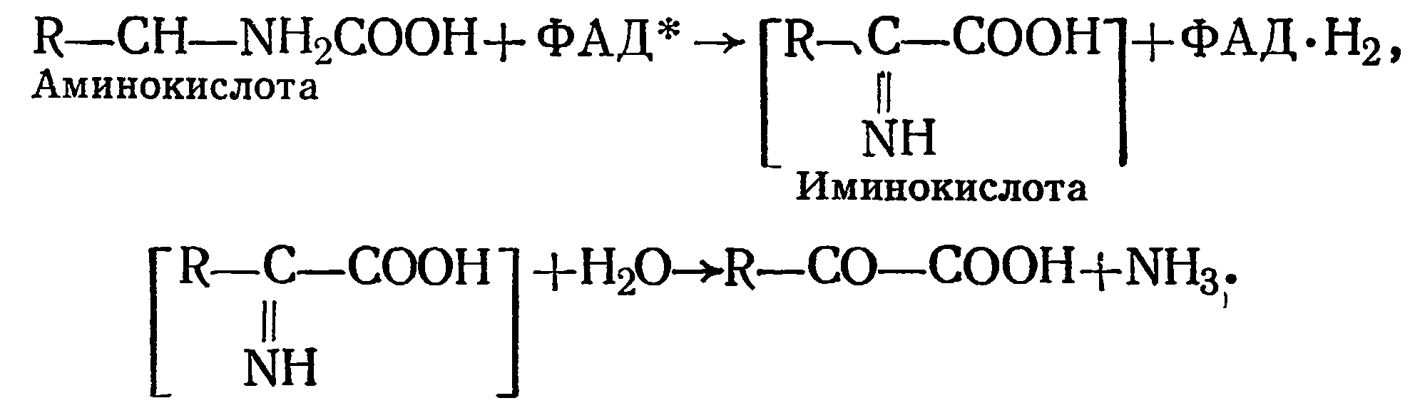 Аминоуксусная кислота уравнение реакции. Оксидаза l аминокислот. Оксидаза l аминокислот реакция. Аминоуксусная кислота и водород. Окисление глутаминовой кислоты.
