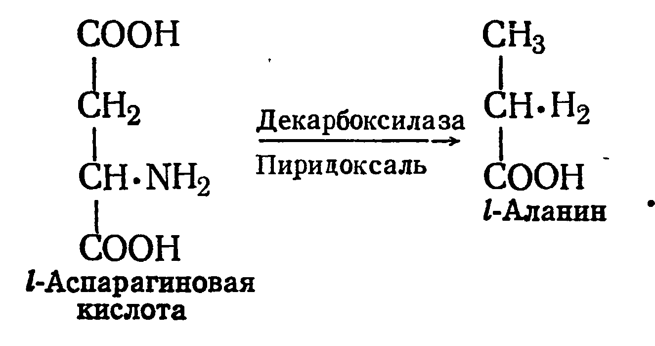 Глицин аланин глутаминовая кислота