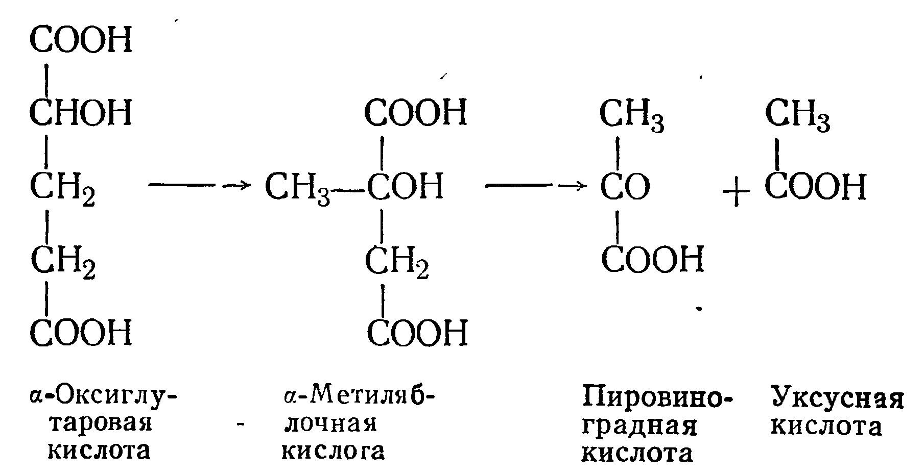 Соберите образцы кислотного дрожжевого грибка riftbreaker