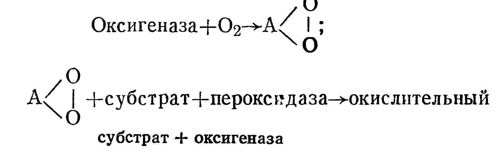 Схема диоксигеназной реакции