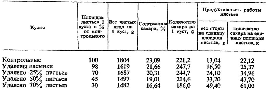 Влитие числа листьев на урожай и качество винограда