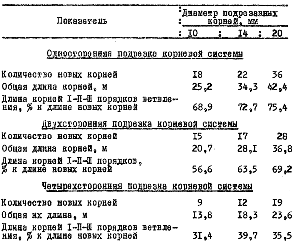Количество, длина и ветвление новых корней при разной силе подрезки