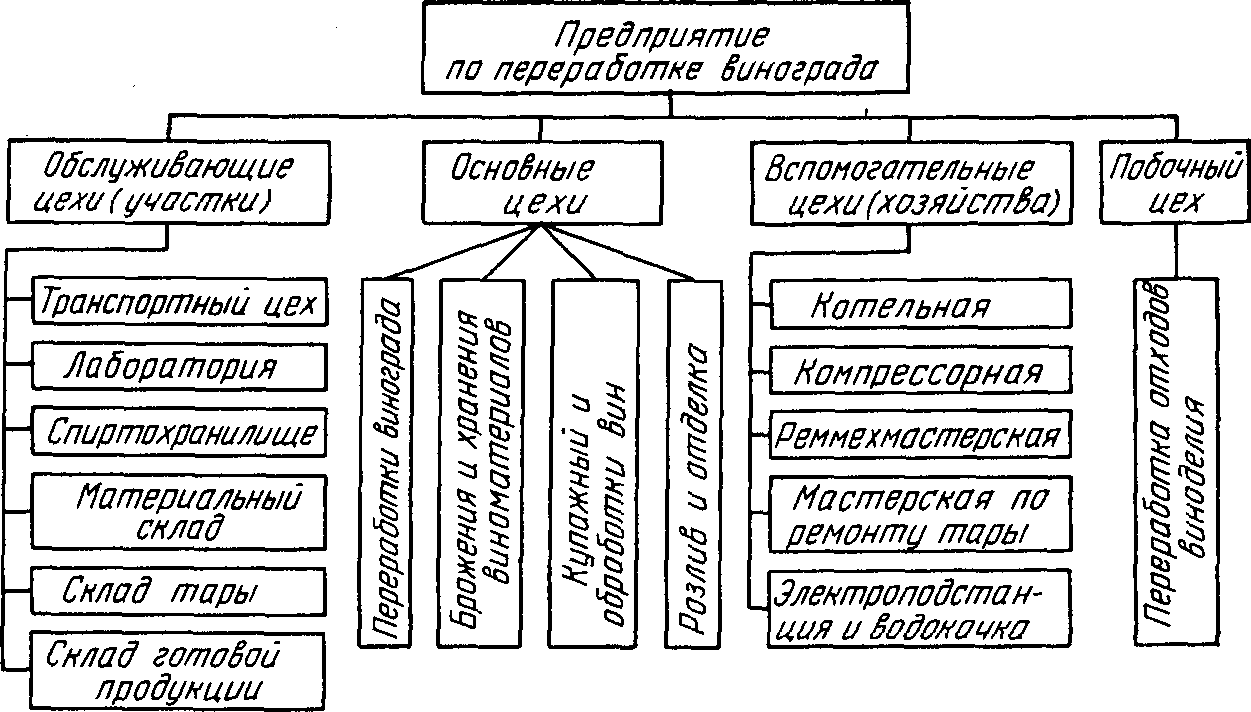 Структура предприятия по переработке винограда