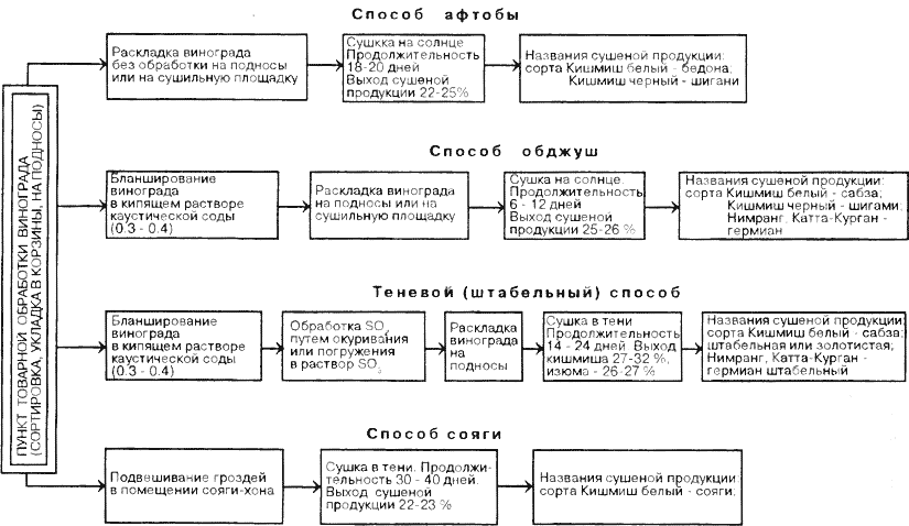 Схема технологии производства сушеной продукции винограда