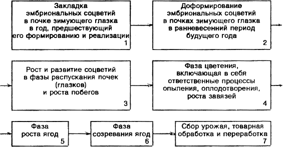 Какие случайные факторы влияют на урожайность