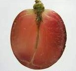 ягода сорта Апулия Роз в разрезе