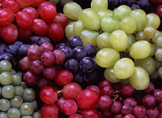 чилийский виноград