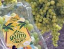 Мохито Фреш – столовый сорт винограда со вкусом коктейля
