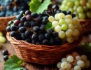 Сохранение винограда после сбора: комбинация элементов