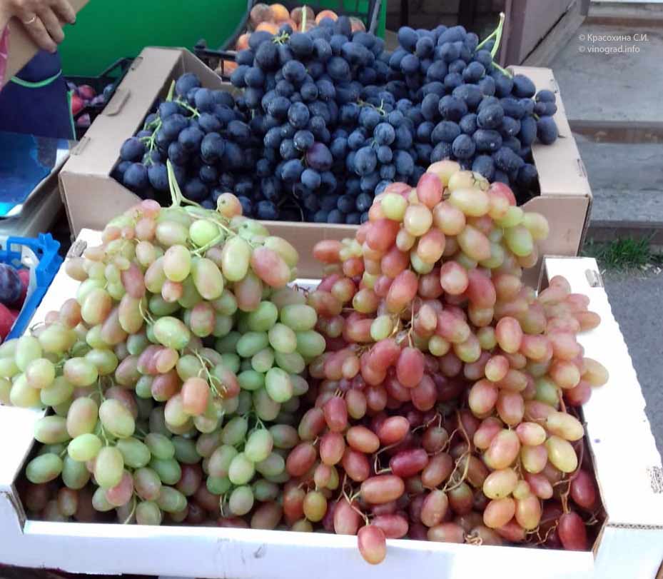 виноград в ящиках
