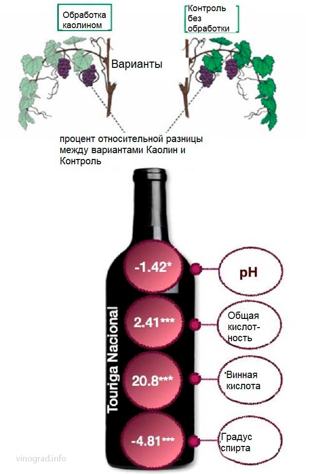 Опрыскивание листьев смягчает стресс от жары и недостатка воды - инфограмма