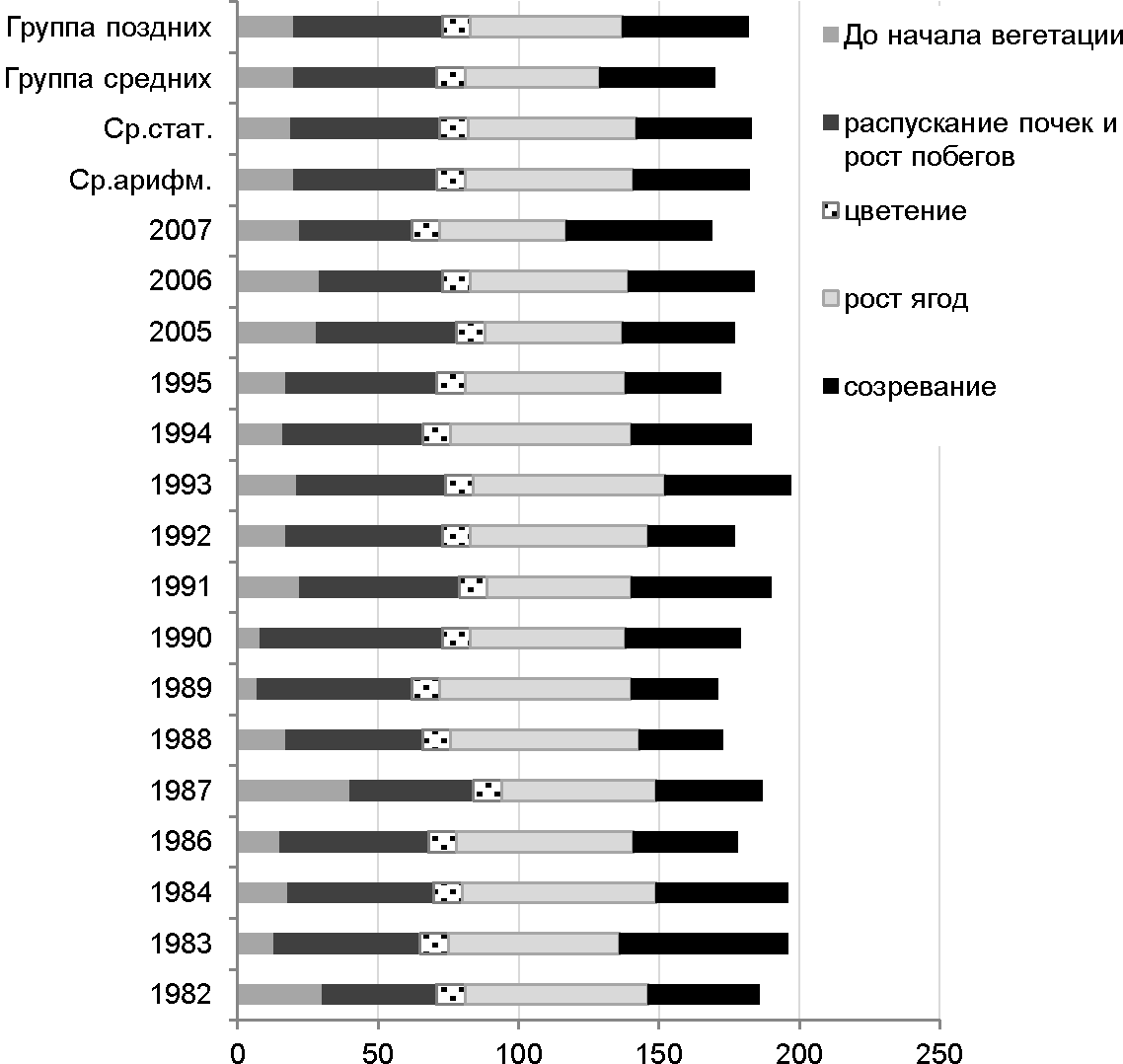 Фенологические ритмы сорта Асма