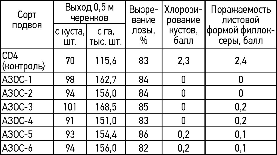 Характеристика новых подвоев винограда